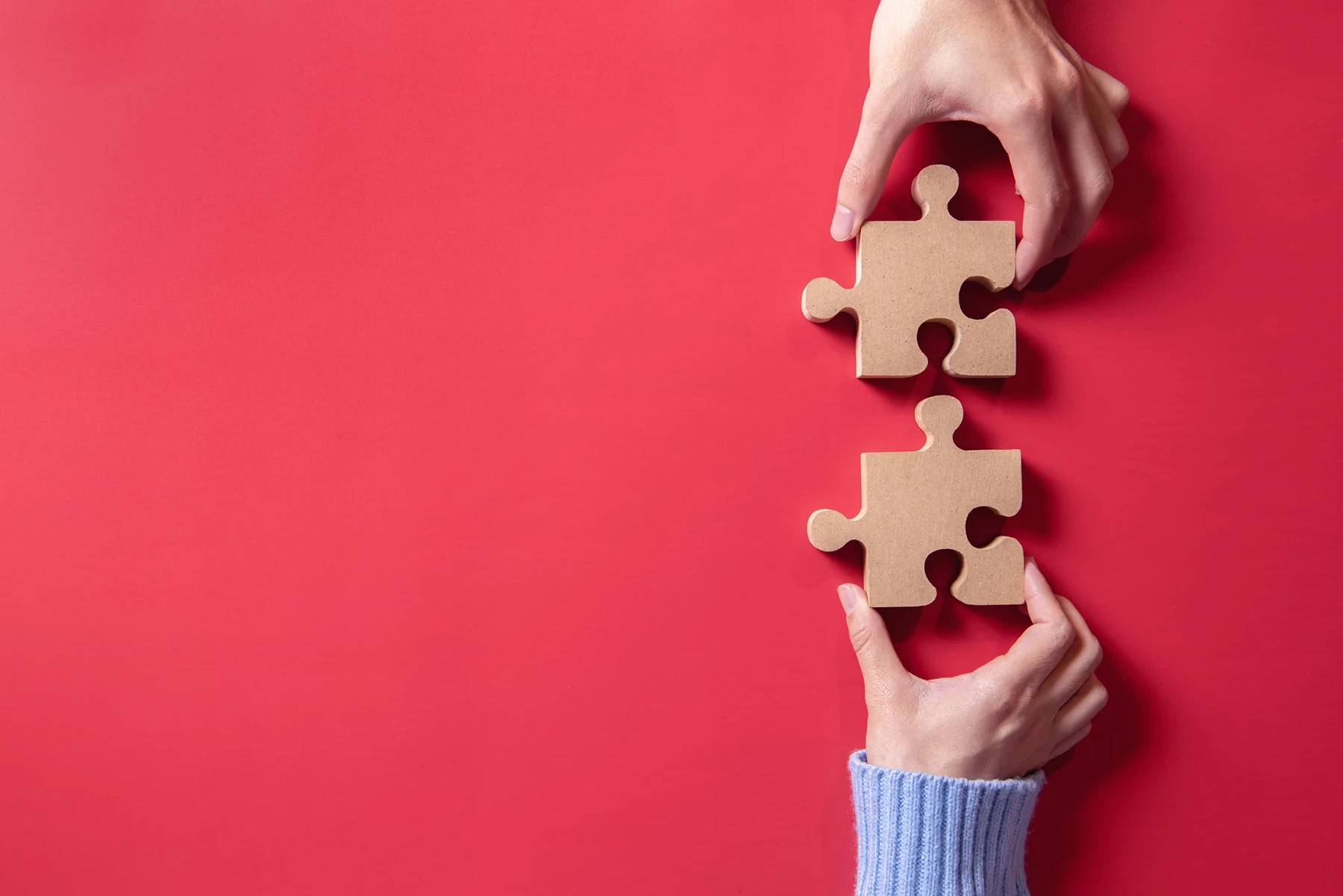jigsaw puzzle