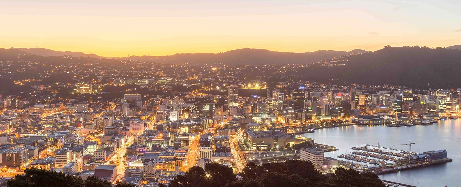 Wellington at dusk