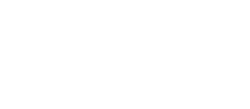 expert logo